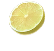 shape24