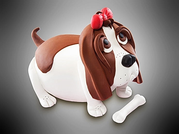 C 1007 köpek