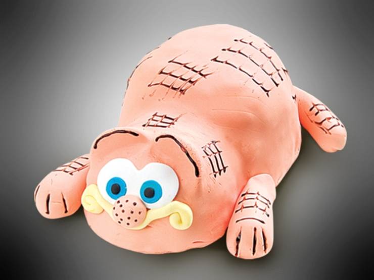 C 268 Garfield